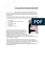 315392894-Cuestionario-4-Parte-2.docx