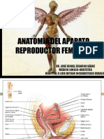 Anatomía femenina