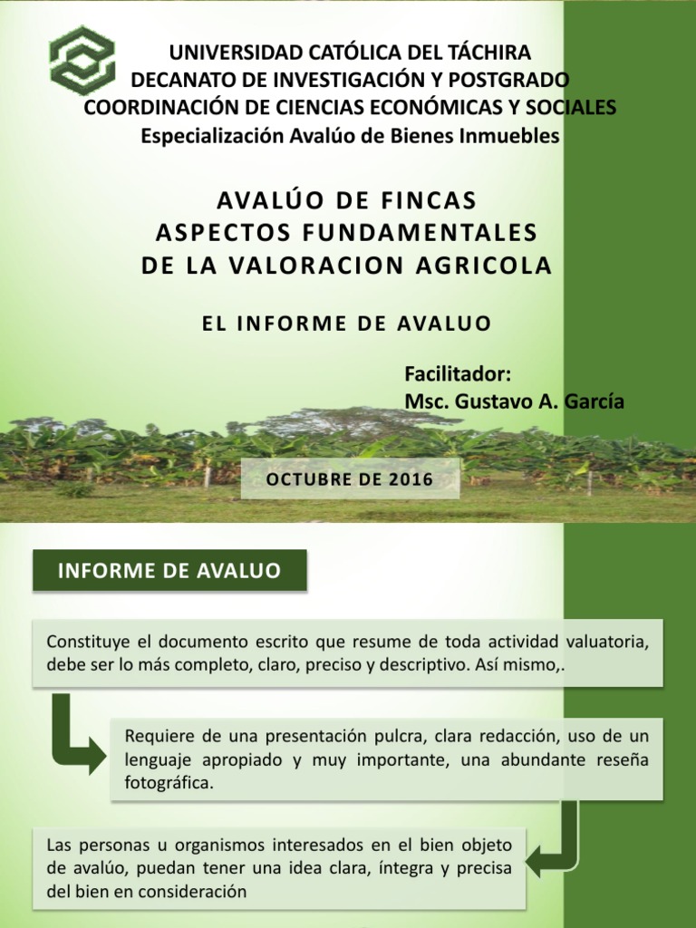 Sesion 01 - Presentacion 02 (El Informe de Avaluo) | PDF | Tasador |  Agricultura