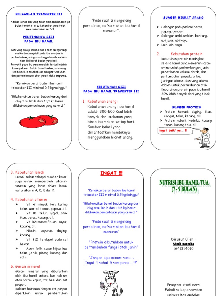 40448539 Leaflet Nutrisi Ibu Hamil