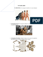 Vocabulario de Conceptos Basicos de Antropologia