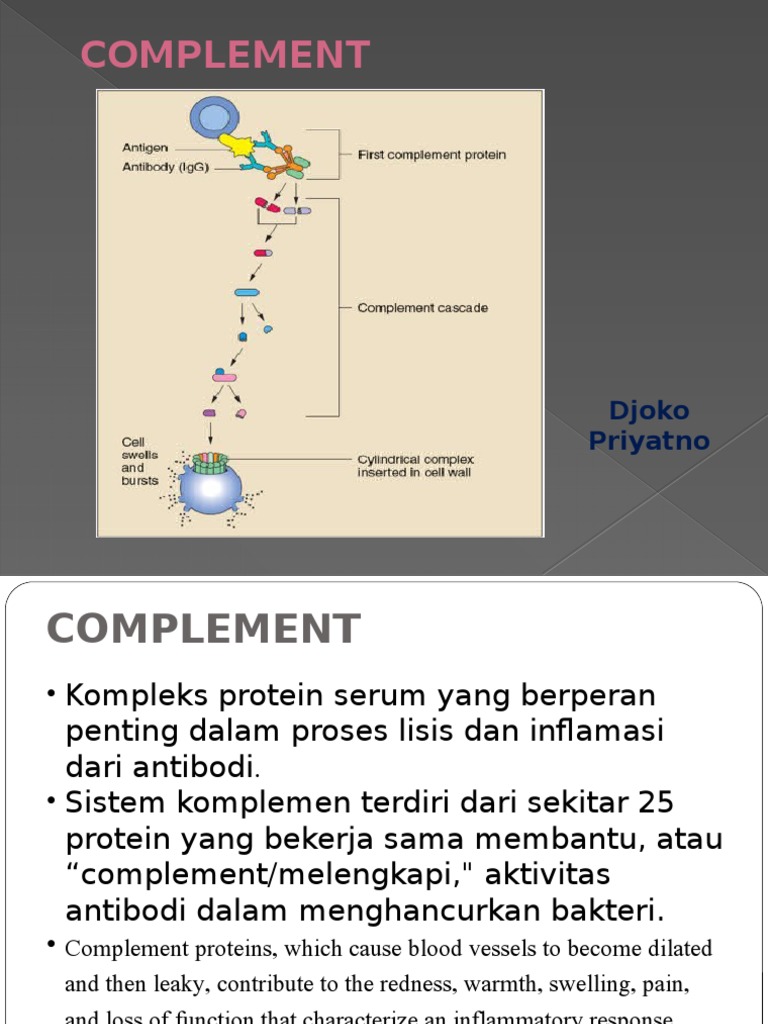 Fungsi dan Jalur Aktivasi Komplemen | PDF