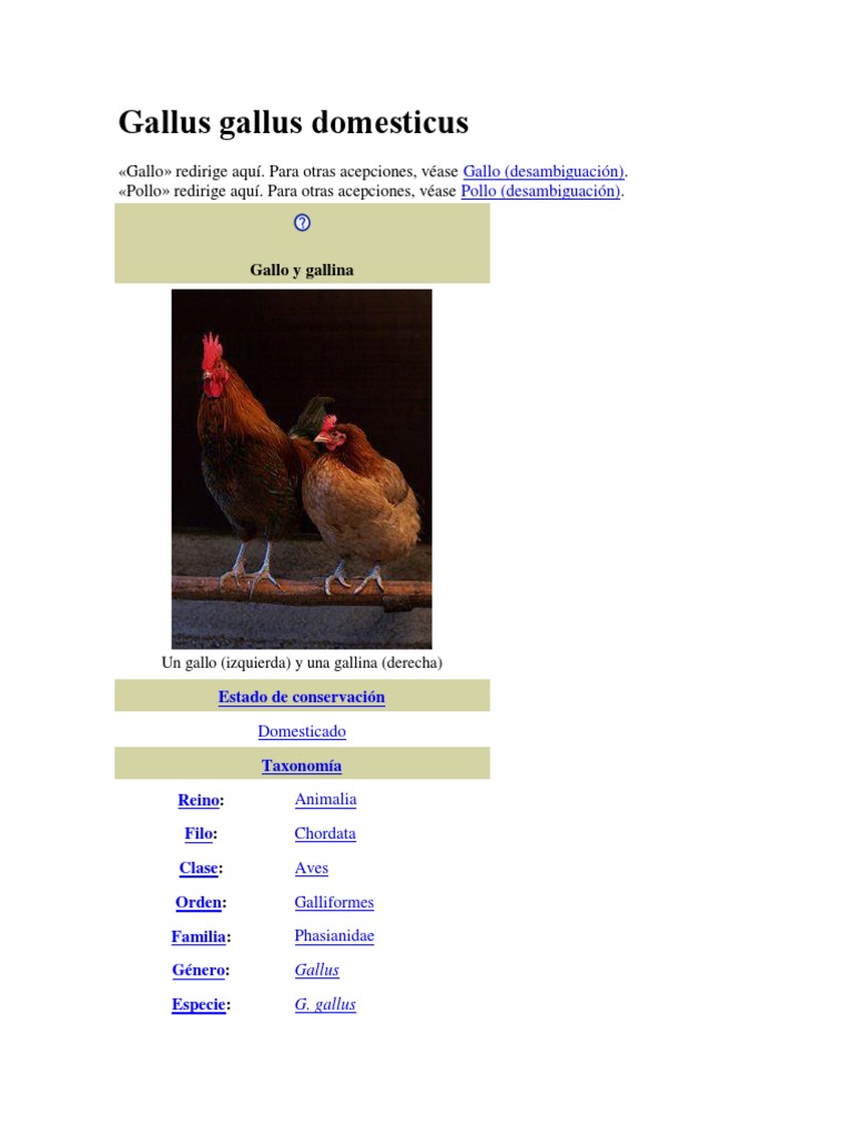 宮嶋仁志 卵屋 G.G.D Gallus Gallus Domesticus Gallus Domesticus | PDF | Pollo | Aves