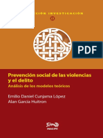 Prevencion Social Violencias