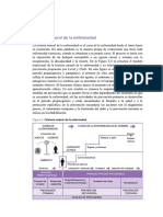 Historia Natural de La Enfermedad y Cadena Epidemiologica