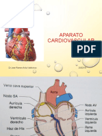 1 Aparato Cardiovascular