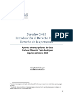TAPIA 2010 Apuntes Derecho Civil I PDF