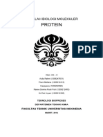 Makalah Protein.pdf