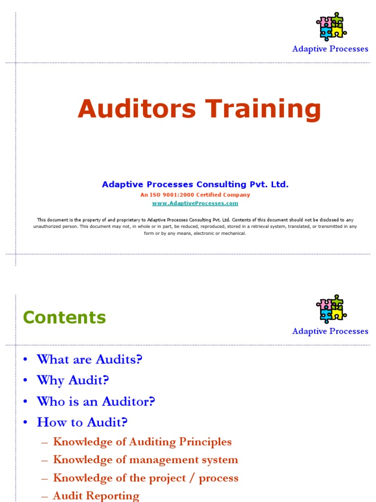 Effective Auditing Practices | PDF | Audit | Business