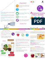 Triptico Alim Correcta y Habitos Sal