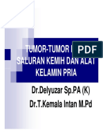 gus156_slide_tumor_-_tumor_pada_saluran_kemih_dan_alat_kelamin_pria.pdf