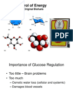 Control of Energy: The Original Biofuels