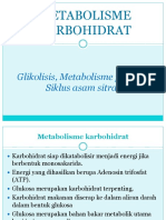 Metabolisme Karbohidrat Glikolisis-TCA