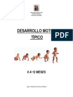 Des Arrollo Motor Tip I Co