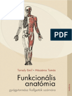 Tarsoly - Funkcionális Anatómia