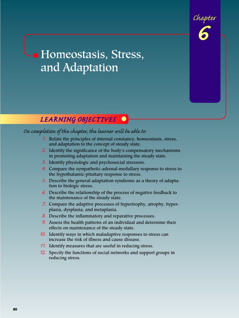 Notes Stress Adaptation PDF | PDF | Stress (Biology ...