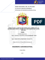 Choquemamani_Yana_Donald_Agustin_Bustinza_Zavaleta_Giancarlo.pdf