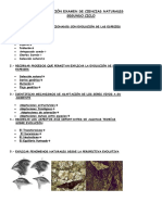 Preparación Examen de Ciencias Naturales