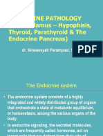 Endocrine Pathology - Untad