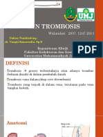 Deep Vein Trombosis Wulan