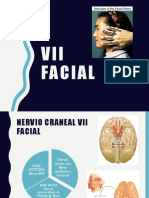 VII Facial