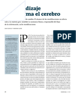 M1 Complementario Sholz J., Klein M. (2013) - El Aprendizaje Transforma El Cerebro. Revista Mente y Cerebro, 4, 40 - 45.