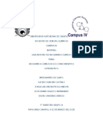 Reporte de Bioquimica Carbohidratos