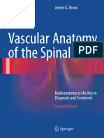 Vascular Anatomy of The Spinal Cord