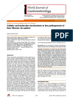 Cellular and Molecular Mechanisms in The Pathogenesis of Sirosis