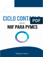 Reporte Ciclo Contable PDF