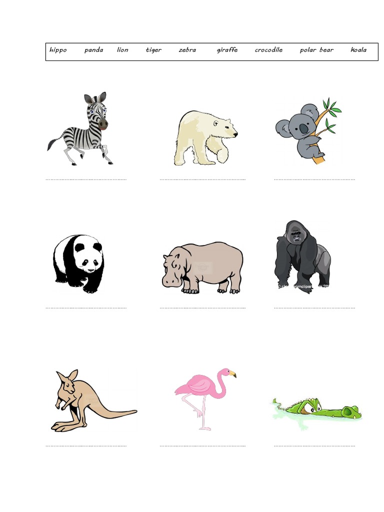 Animals | PDF