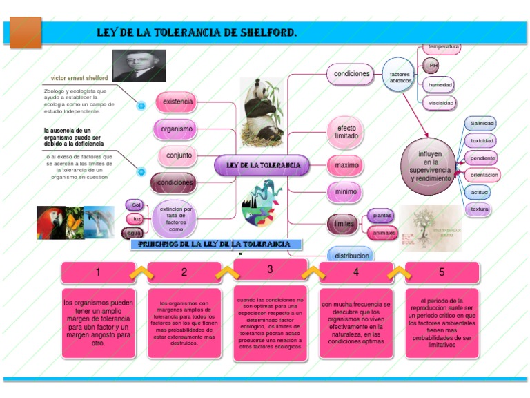 Que Es La Ley De La Tolerancia Ley Compartir