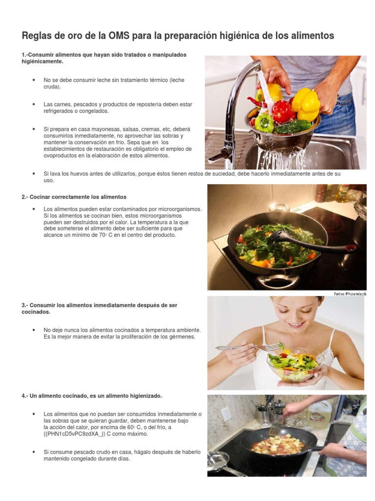 Reglas de Oro de La OMS para La Preparación Higiénica de Los Alimentos ...