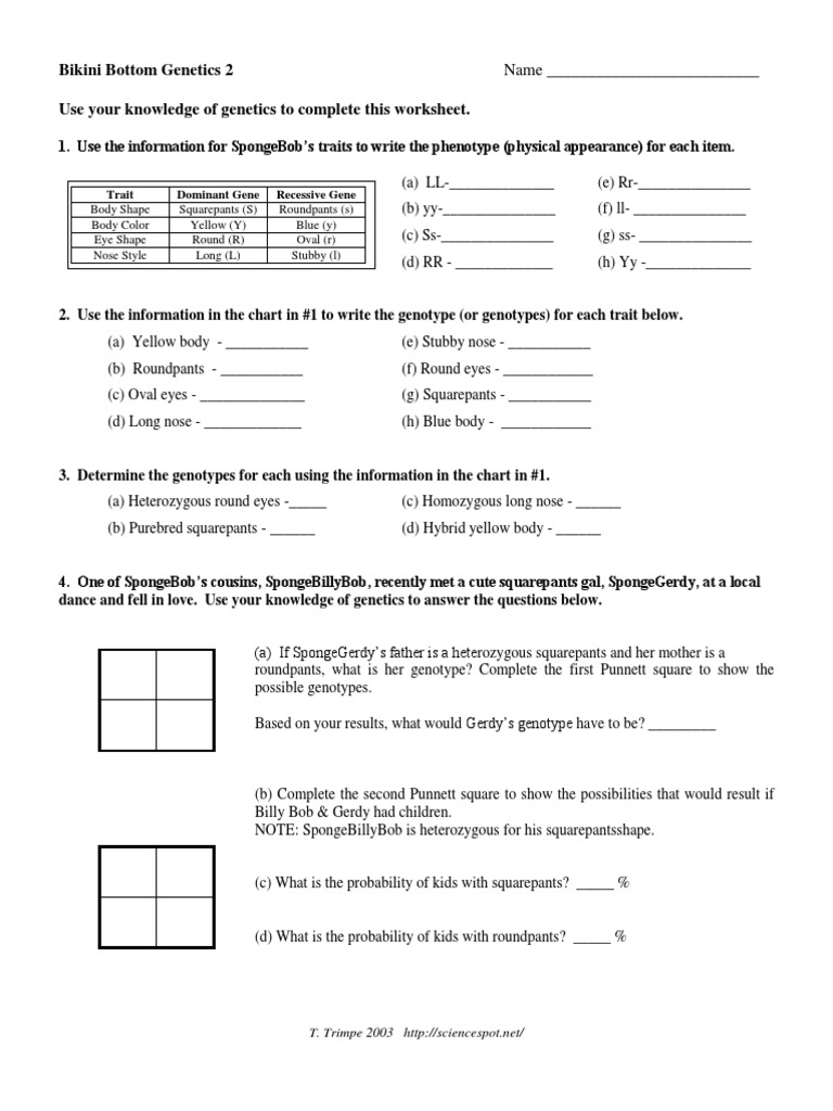 Spongebob-Genetics 19  PDF  Genotype  Genetics