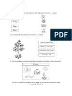 Evaluación 2 de Ciencias Naturales