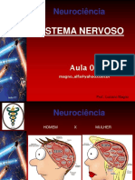 Revisao Neuroanatomia e Neurofisiologia Aula 02 (1)