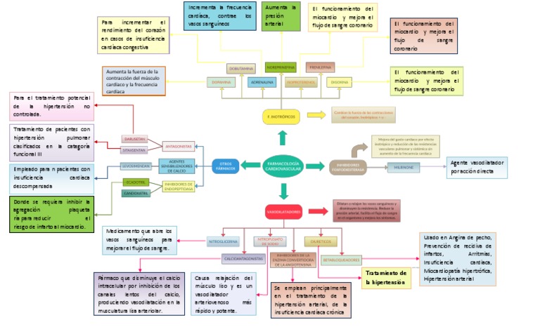cuadro conceptual farmacologia cardiaca Hipertensión