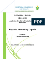 Cultivos Phyzalisalmendrocapulin