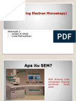 SEM (Scanning Electron Microskopy)