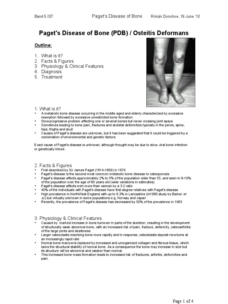 Paget's Disease in Service Training PDF Bone Epidemiology