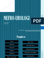 Fixed Nefrourologi