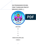 Laporan Penanaman Secara Hidroponik Tumbuhan Pakcoy