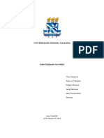 Fluidização PDF