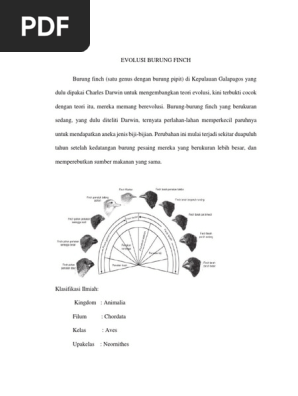 Tmp 4483 Evolusi Burung Finch 465632826