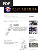 Meridianos Do Corpo Humano