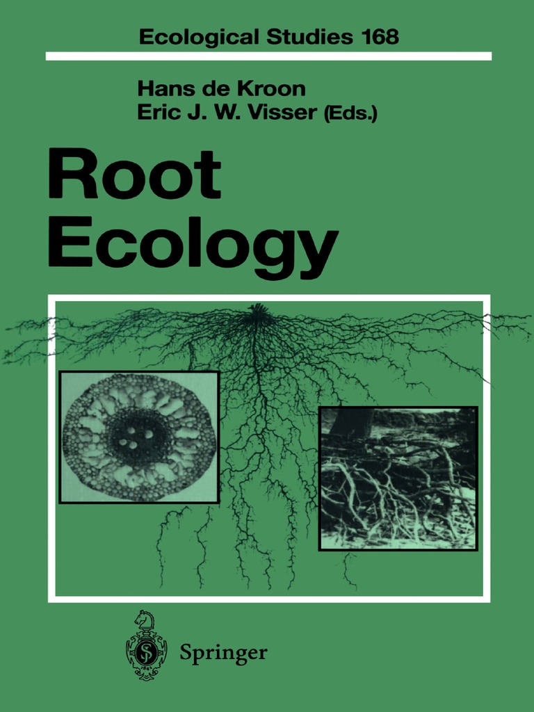 Plastic responses of below‐ground foraging traits to soil phosphorus‐rich  patches across 17 coexisting AM tree species in a subtropical forest - Zhu  - 2023 - Journal of Ecology - Wiley Online Library