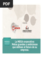 Presentación Hbpe Mega Co