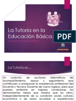 Tutoria Educacion Basica