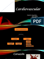 Anatomía Cardiovascular2 Nuevo