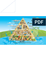 Vegan Pyramid 1280x800